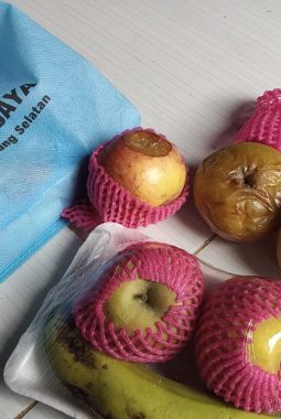 MBG di Merbau Mataram Dikeluhkan, KPM Terima Buah Busuk dari Dapur SPPG Mekar Jaya