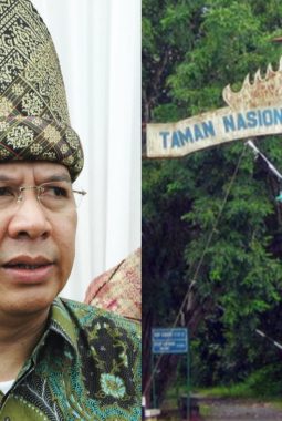 Alzier Dianis Thabranie Desak Evaluasi Total Usai Kematian Gajah Sumatera Indra di Way Kambas