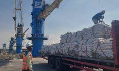 Arus Bongkar Muat Pelabuhan Gresik Tembus 2,29 Juta Ton, Pelindo Multi Terminal Catat Pertumbuhan 18,7 Persen pada Semester I 2026
