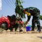 Dari Pohon yang Ditanam hingga Green House yang Dibangun, TMMD Kodim 0726 Sukoharjo Hadirkan Manfaat Nyata