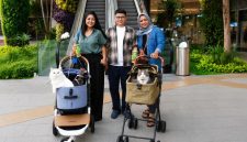 Grand Galaxy Park, cat-friendly mall