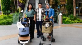 Grand Galaxy Park, cat-friendly mall