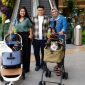 Grand Galaxy Park, cat-friendly mall