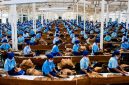 Industri Tembakau PTPN I Regional 5