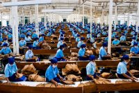Industri Tembakau PTPN I Regional 5