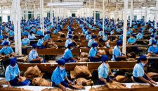 Industri Tembakau PTPN I Regional 5
