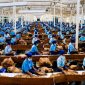 Industri Tembakau PTPN I Regional 5