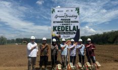 PTPN IV PalmCo Matangkan Pilot Project Kedelai Dukung Percepatan Swasembada Pangan Nasional